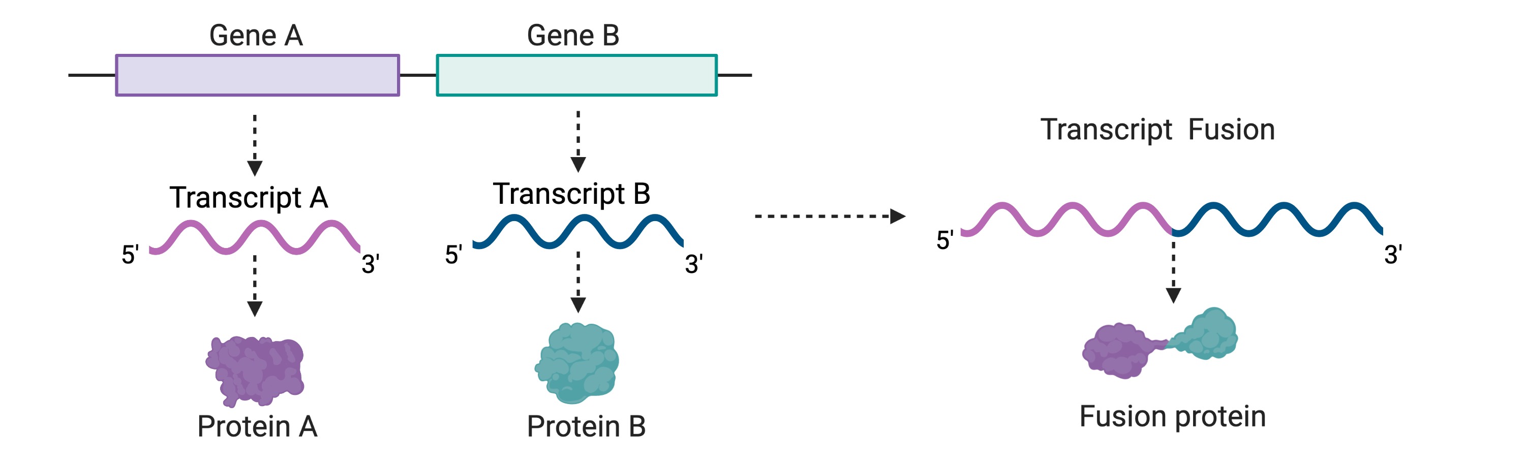 Glossary Genome Sciences Centre